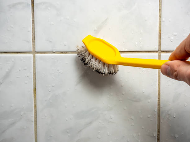 Best Emergency Mold Removal  in Hermann, MO