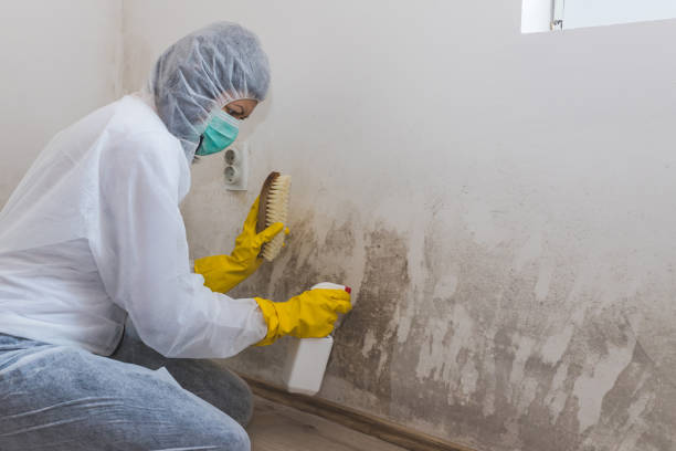 Best Crawl Space Mold Removal  in Hermann, MO