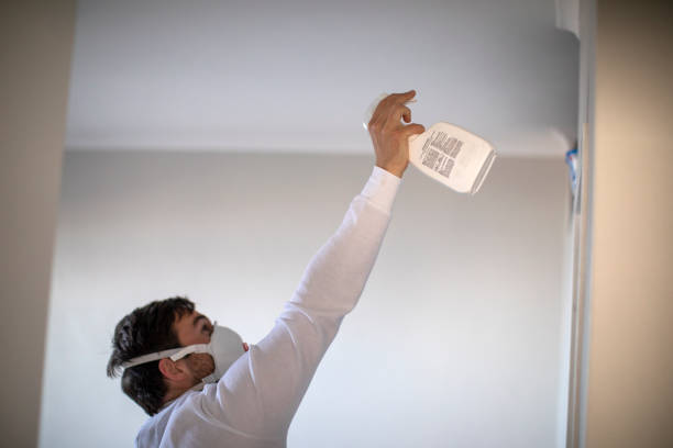 Best Toxic Mold Removal  in Hermann, MO