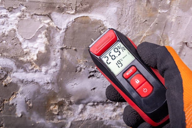 Best Mold Cleaning Services  in Hermann, MO