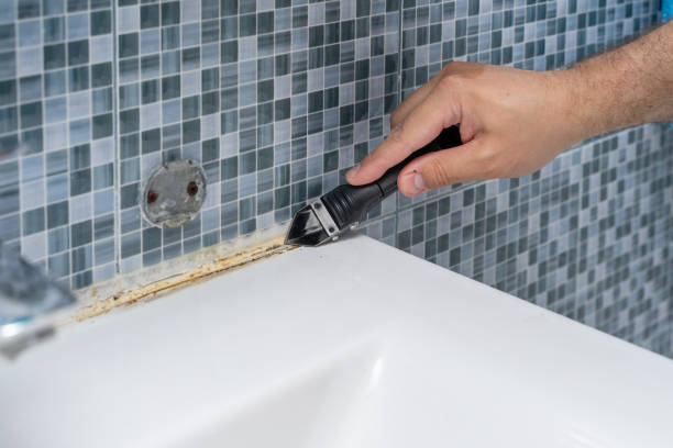 Best Attic Mold Removal  in Hermann, MO